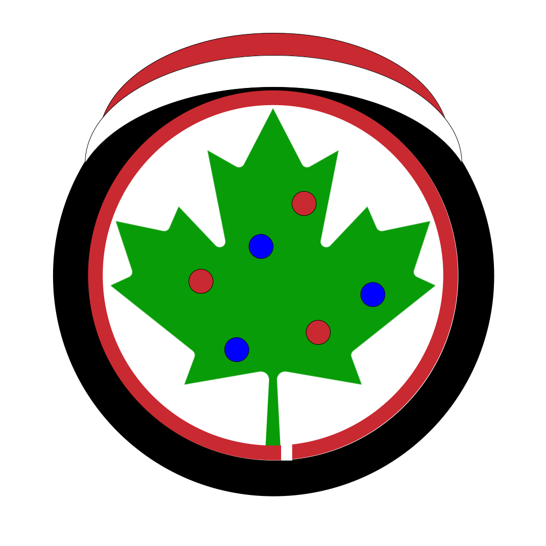 Spirit of the season Donate a Car Canada Christmas logo green maple leaf encircled by a black tire wearing a santa hat