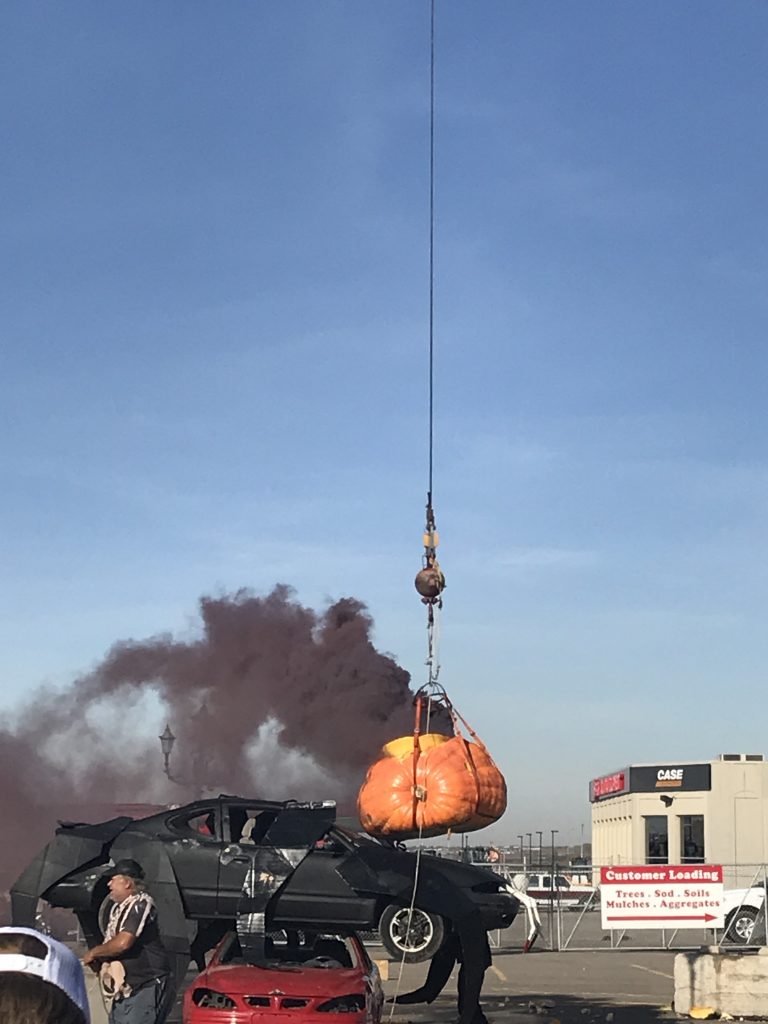 Pumpkin Drop 6