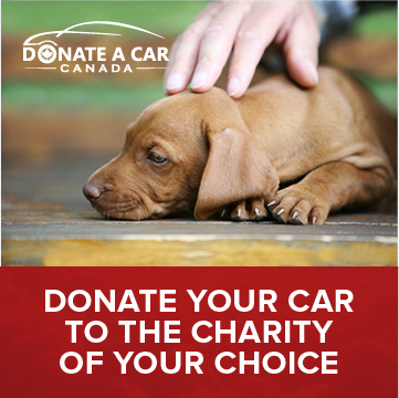 Senior petting a brown puppy with text to donate your car to the charity of your choice How much is my tax receipt