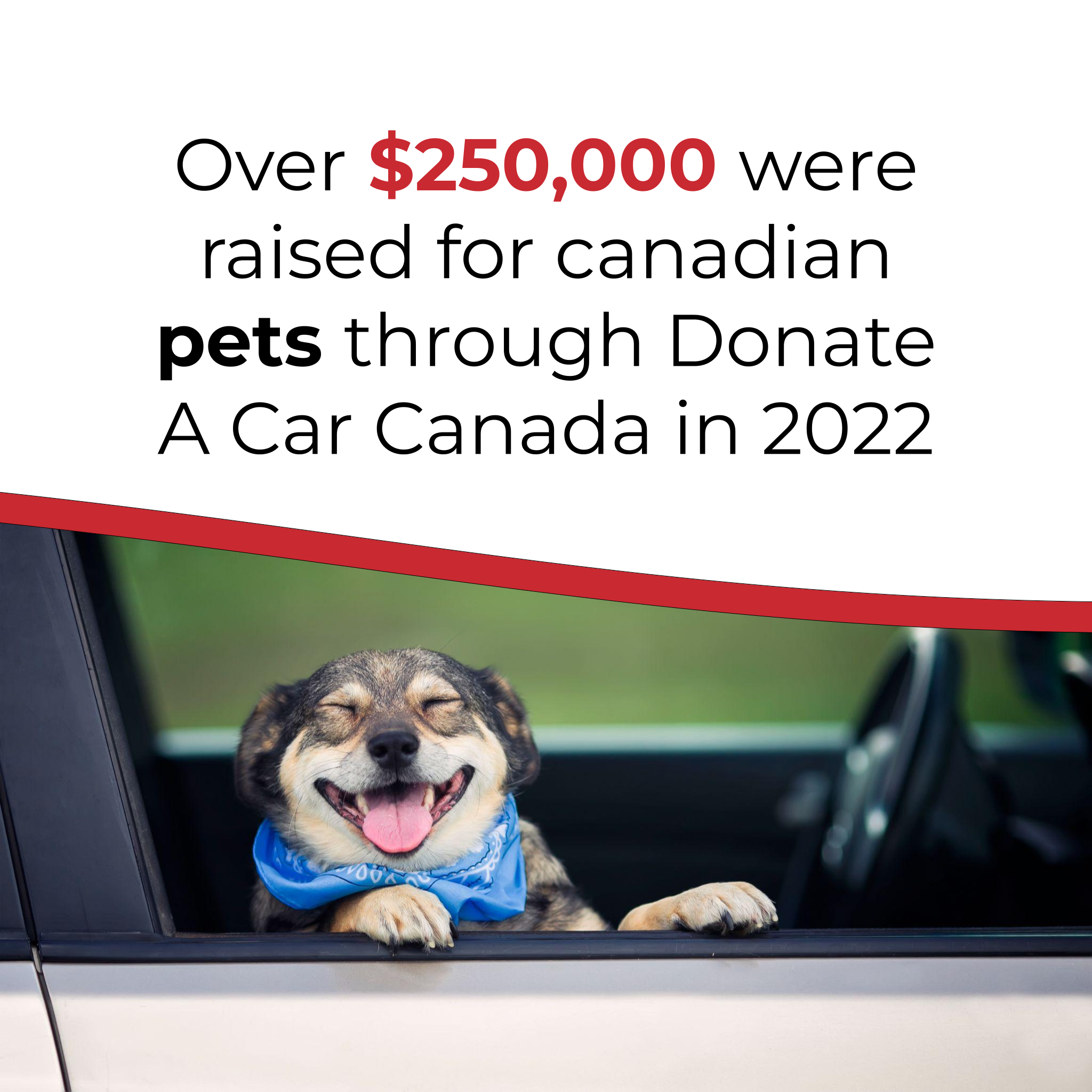 Donate a Vehicle - Richmond SPCA