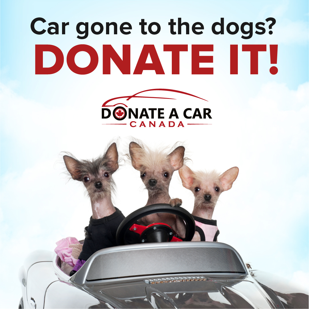 Donate a Car to SPCA