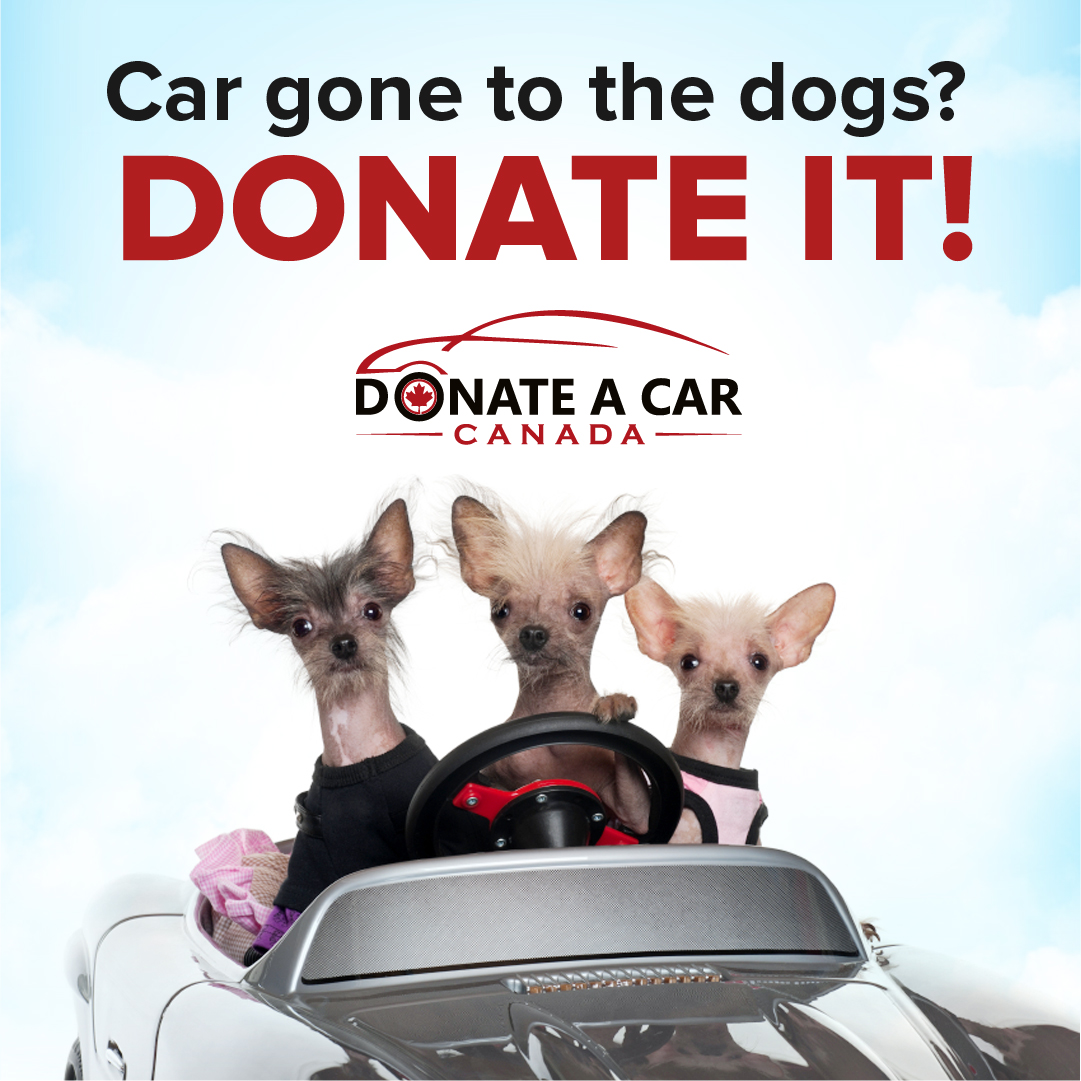 Donate a Vehicle - Richmond SPCA