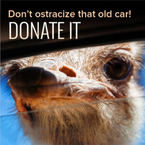 Donate a vehicle for wildlife