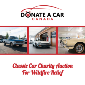 Charity Car Auction
