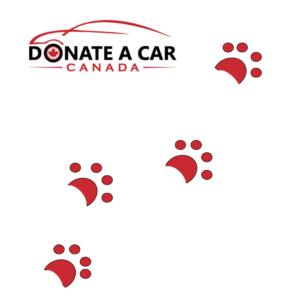 Animated red paw prints across a white back ground with Donate a Car Canada logo in the top right corner Donate a car for animals