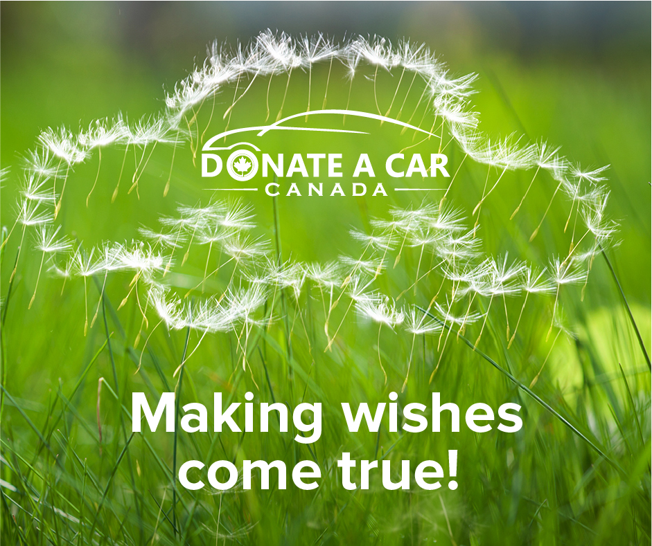 Make a wish Canada shape of a car made by white dandelion seeds on a green grass background Donate a Car canada logo inside the car other text reads Making wishes come true!