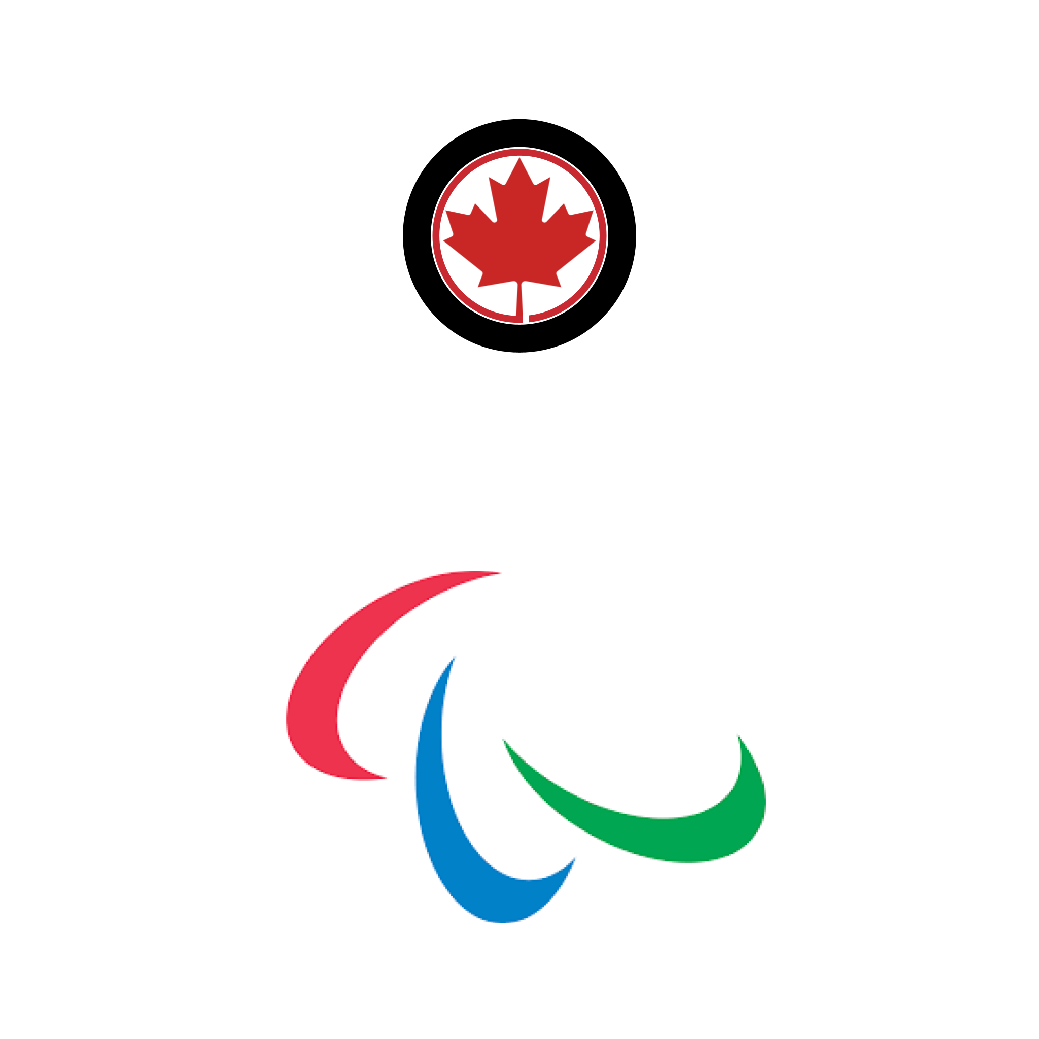 White background with Paralympics 2024 logo and Donate a Car Canada logo