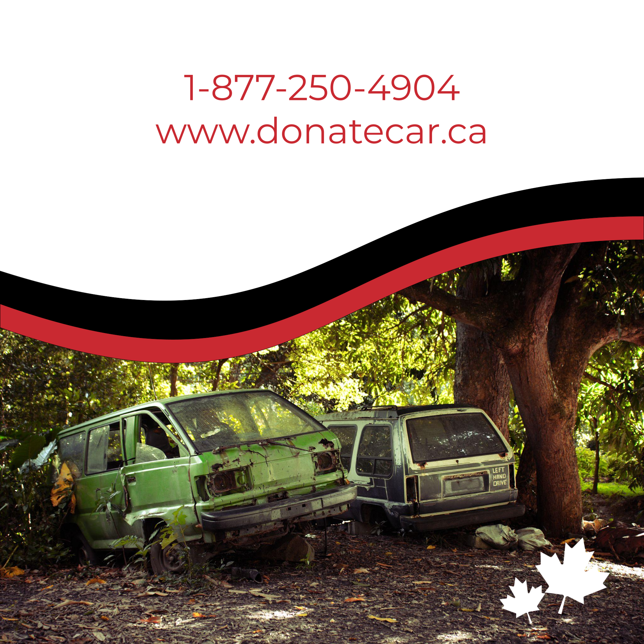 Are you downsizing? Two broken down, moss covered cars are parked underneath a giant tree. Donate a car Canada phone number is printed in red on a white background (1-877-250-4904)