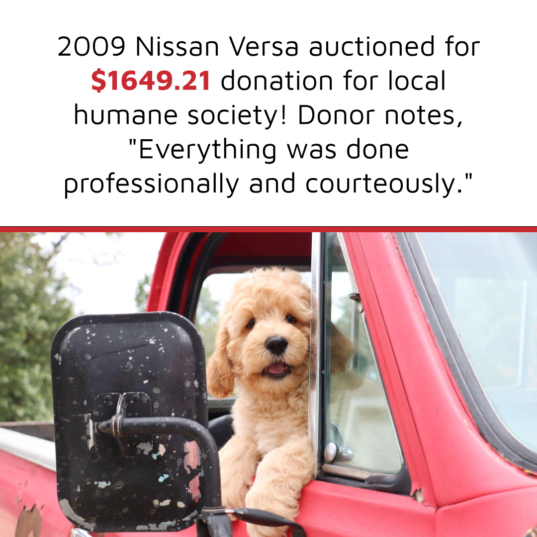 Humane society car donation light brown labradoodle puppy poking its head out the window of a small red truck donate a car canada