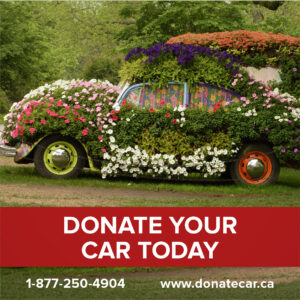 Side view of VW Beetle with one green hubcap and one red hubcap is completely covered in plants and flowers. Donate your hail damaged vehicle for your Canadian charity of choice through Donate a Car Canada.
