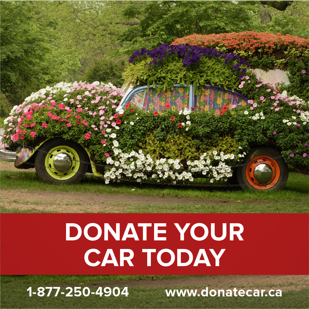Side view of VW Beetle with one green hubcap and one red hubcap is completely covered in plants and flowers. Donate your hail damaged vehicle for your Canadian charity of choice through Donate a Car Canada.