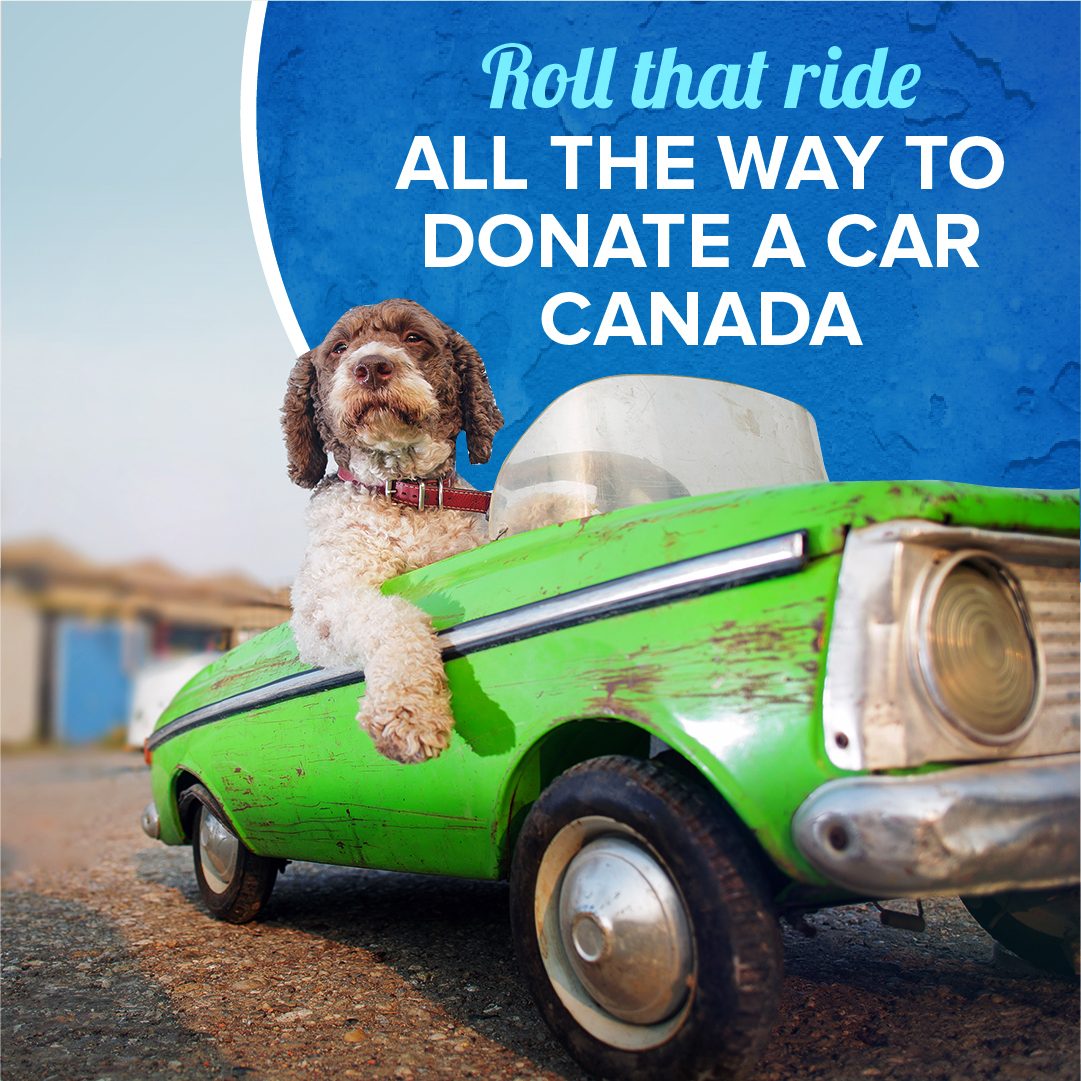 Image accompanying Donate a Car Canada blog post, "Summer Vacation Donation" shows a bright green mini car being driven by a black and white curly-haired puppy. The accompanying text reads, "roll that ride all the way to Donate a Car Canada".