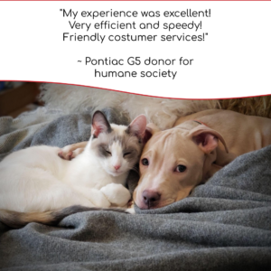 Tan coloured pit bull dog is curled up with a grey and white cat. Must love dogs is a theme for this Donate a Car Canada blog post.