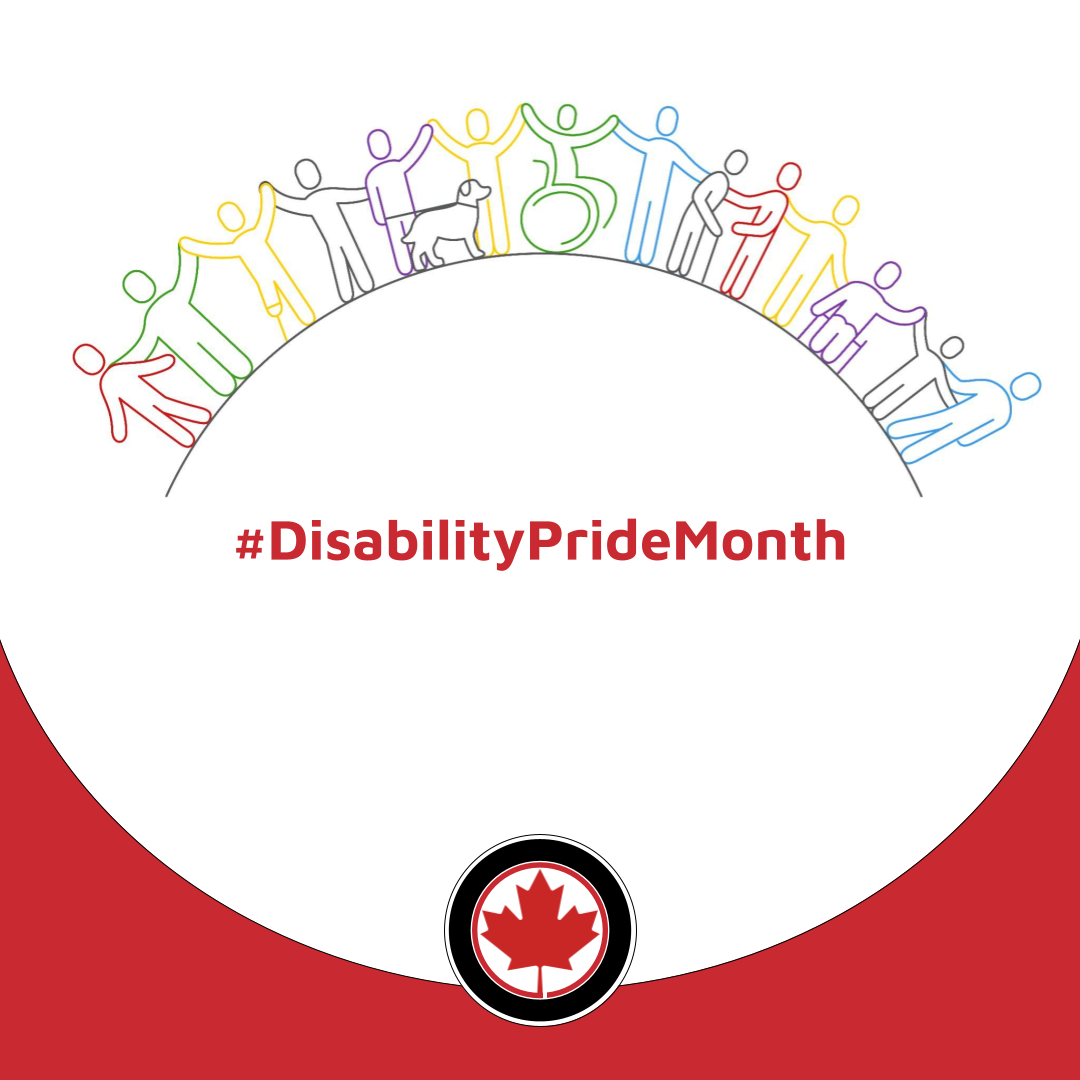 July is disability pride month - Donate a Car Canada blog explores the meaning of the colours of the flag